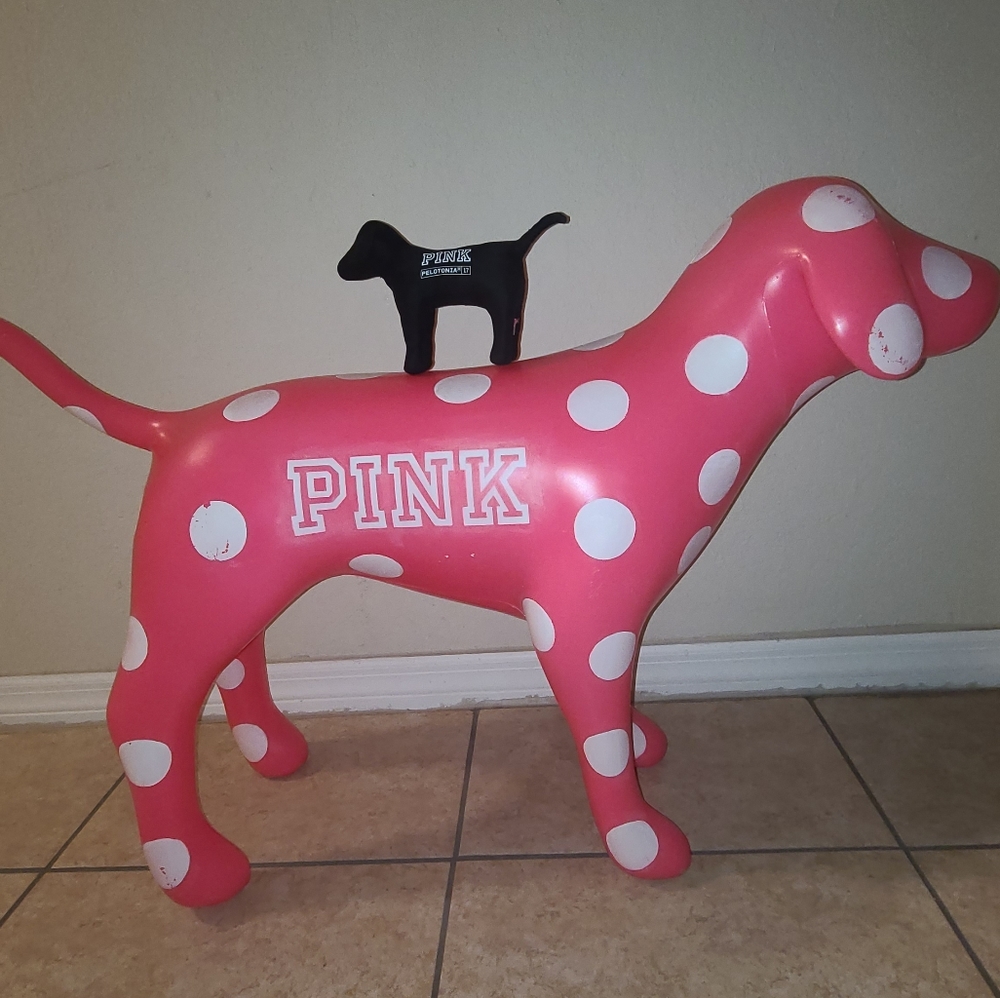 Victoria's secret pink dog